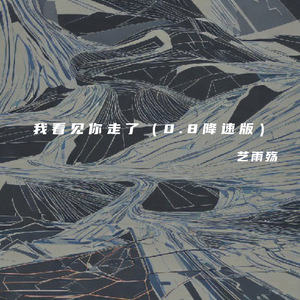 我看见你走了 (0.8降速版)