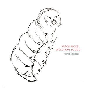 Tardigrade dans l'espace