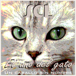 El año del gato