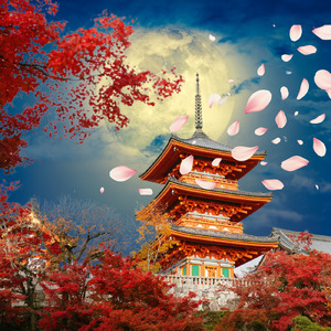 紅葉の向こう側