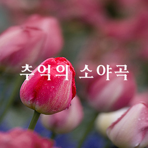 비내리는 호남선