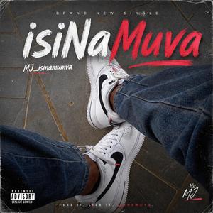 isiNaMuva (Radio Edit)