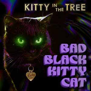 Bad Black Kitty Cat