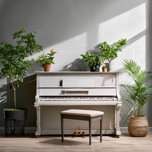 Melodías De Piano Que Curan Suavemente