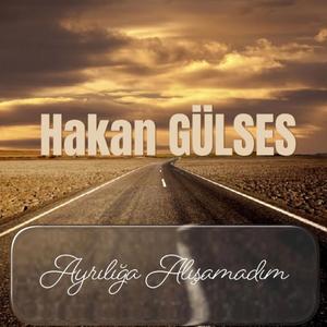 Sen Olmazsan Olmuyor