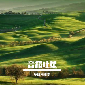 你的忧伤