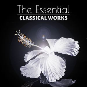 The Seasons No. 3 in G Minor, Op. 37a ”March: Song of the Lark”: III. Andantino espressivo