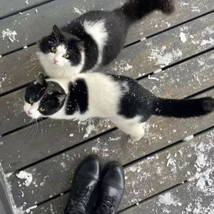 冬季恋(Prod.RAYKEEPGOING)