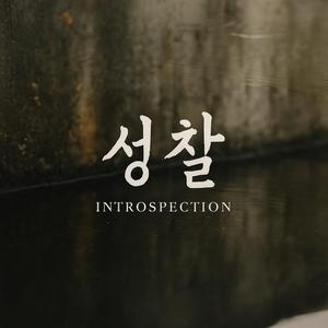 성찰(Introspection)