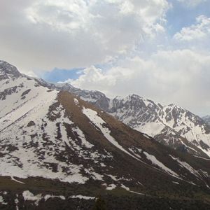 Вдохновение