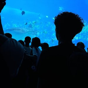 最近freestyle(prod undislove）