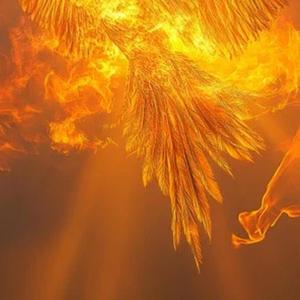 Ich steige auf (New)