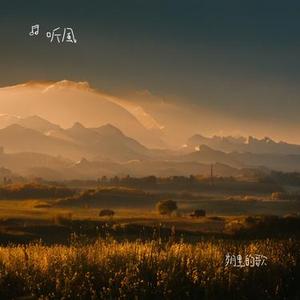 岁月里的歌