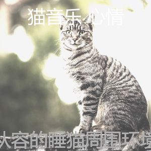 微妙的猫心情