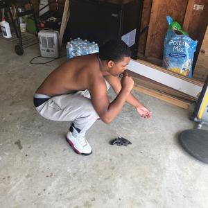 In The Air Freestyle