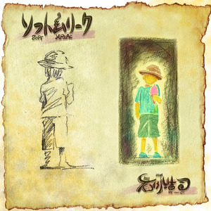 ソフトムリーク