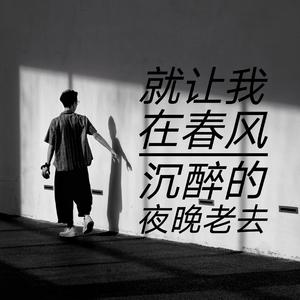 就让我在春风沉醉的夜里老去