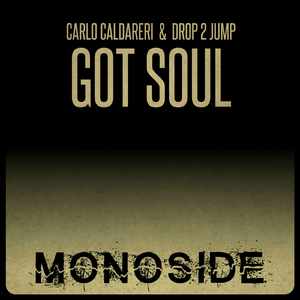 Got Soul (Original Mix)
