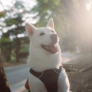 나의 겨울 (With. 이유)