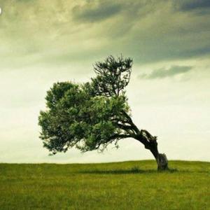 重新见过你 伴奏