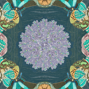 Bloom