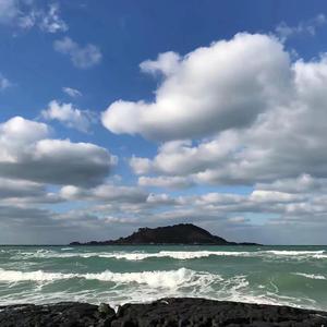 不待风吹自落花