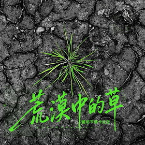荒漠中的草 (伴奏|藏语节奏卡点版)