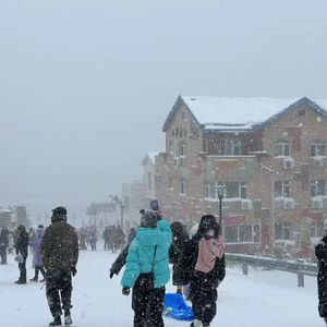 老槐树下的年少时光