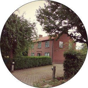 Something That Once Was