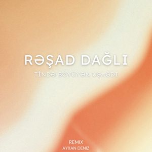 Tində Böyüyən Uşağdı (Remix)