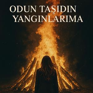 Odun Taşıdın Yangınlarıma