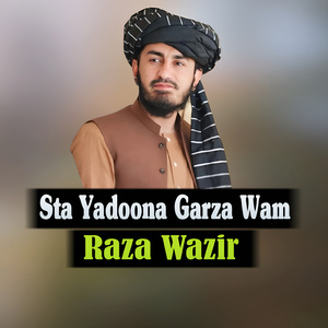 Zama Pa Bal Watan Ki Yara