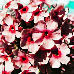 alarmed (instrumental)