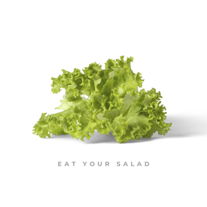Eat Your Salad (Eurovision 2022 - Latvia)