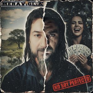 No Soy Perfecto