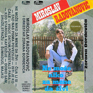 Dobio sam, druze, strazu