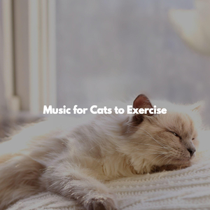 Luxurious Quiet Offices