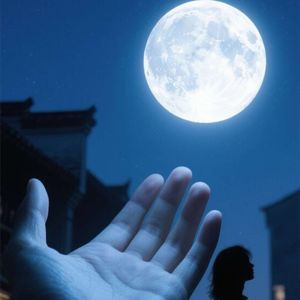 月光未寄-四遇能仕