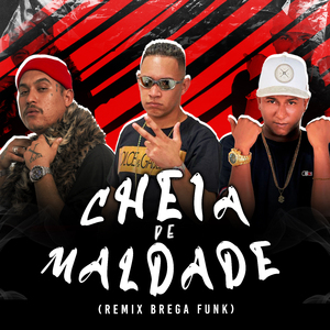 Cheia de Maldade (Brega Funk Remix)