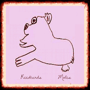Moles