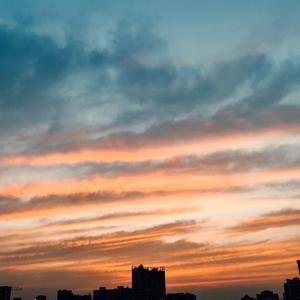 夏夜晚风_20227102920