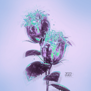 Thought We Were Perfect