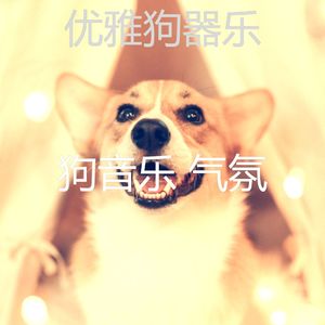 有趣训练犬情怀