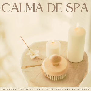 La Lluvia Torrencial Y El Canto De Las Palomas