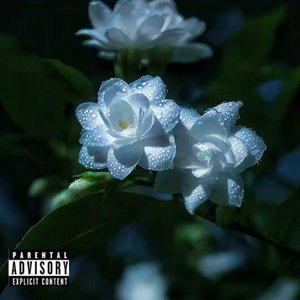 群星-茉莉 Jasmine（KIDAREALKILLER remix）