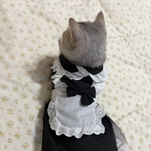 你最擅长说没事（二版）