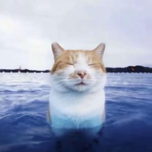 阿牛