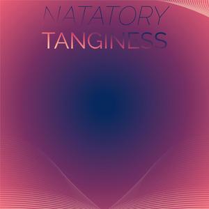 Terminus Rapprochement