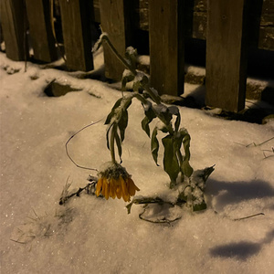 Was ist Richtig/Falsch