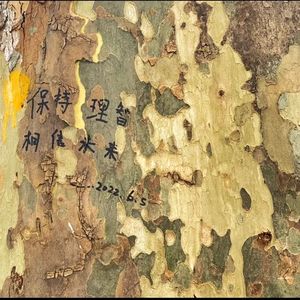 一场游戏一场梦（翻唱） by b 高虎（痛仰）